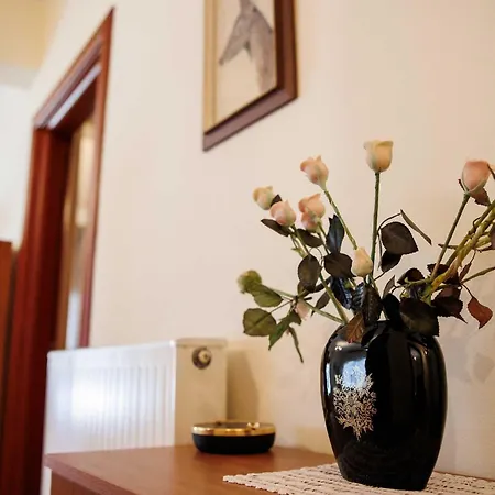 Anastasia's Kastoria Cozy Modern Garden Retreat Prázdninový dům Maniákoi